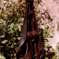 Dama ciclistica